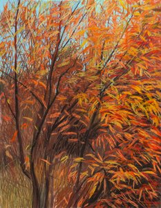 Red Willow 1a, 2021