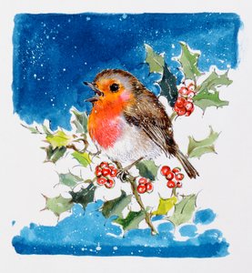 Robin Red-breast by Diane Matthes
