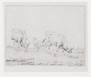 Grazing Cows by Diederik Jan Singendonck