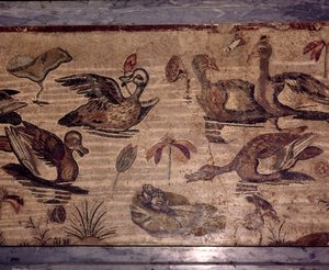 Roman Mosaic from Pompeii of Ducks and Frogs in a Water Garden