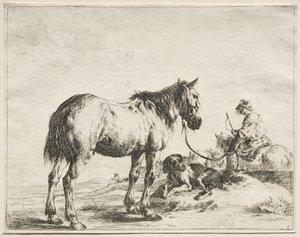 A Horse Fastened to a Stake by Dirck Stoop