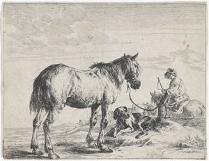Horse Tied to a Pole (Horses) by Dirk Stoop