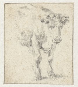 Study of a Cow by Dirk Stoop