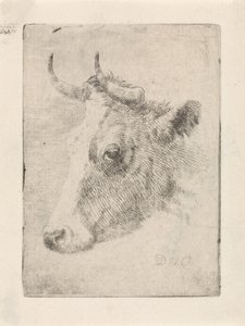 Head of a Bull by Dirk van Oosterhoudt