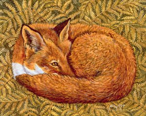 Cat-napping