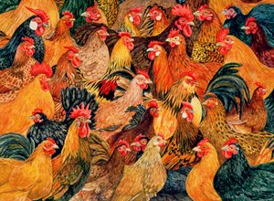 Fine Fowl