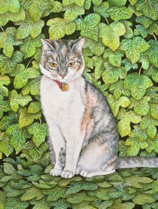 Ivy by Ditz