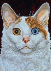 Minette