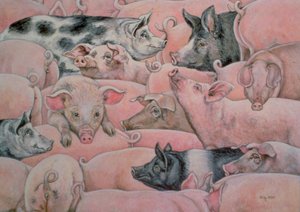 Pig-Spread