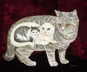 Russian Cat