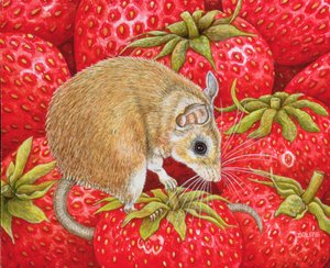 Strawberry-Mouse