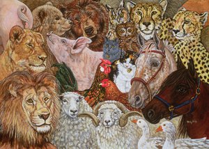 The Ark Spread