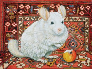 The Carpet-Chinchilla, 1992