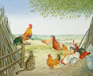 The Fowl and the Pussycat by Ditz