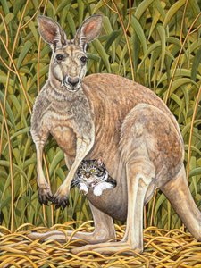 The Kangaroo-Cat