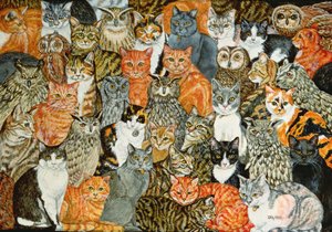 The Owls and the Pussycats