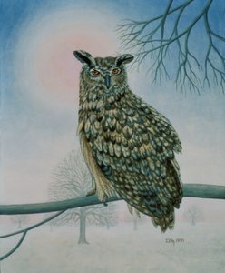 Winter-Owl