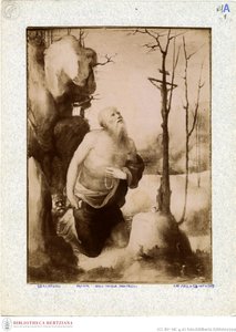 Penitent Jerome by Domenico Beccafumi