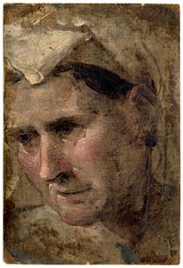 Head of an Old Woman Looking Down to Left by Domenico Beccafumi
