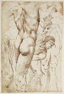Studies of Legs and Male Nudes by Domenico Beccafumi