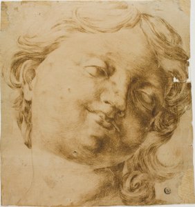 Head of a Child