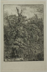 Great Tree by Domenico Quaglio