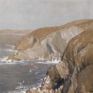 The Cornish Coast