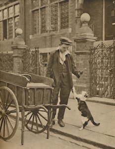 One of the Best-Established Trades: A Customer and the Cats-Meat Man