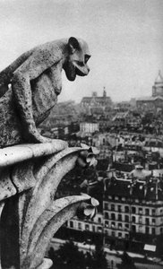 Stone demon, Notre Dame, Paris, France