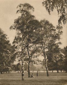 The Lace-Work of the Leaves: A Summer Morning in Hyde Park