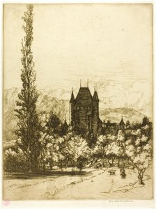 A Castle in Thun, Switzerland