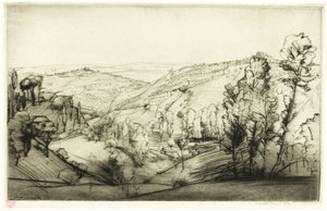 Fields of San Gimignano