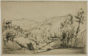 Fields of San Gimignano by Donald Shaw MacLaughlan