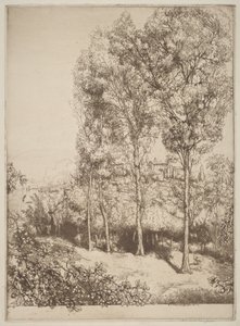 Sunlight and Shadows, No. 3 by Donald Shaw MacLaughlan