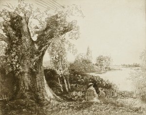 Sussex Days by Donald Shaw MacLaughlan