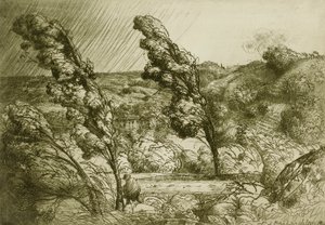 The Tempest by Donald Shaw MacLaughlan