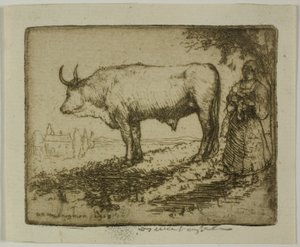 The White Ox by Donald Shaw MacLaughlan