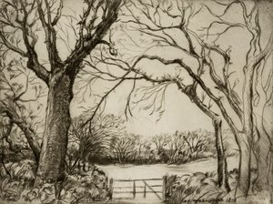 Tragenna Wood by Donald Shaw MacLaughlan