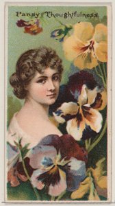 Pansy: Thoughtfulness, from the series Floral Beauties and Language of Flowers N75 for D... by Donaldson Brothers