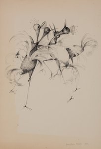 Birds by Donatella Merlo