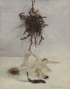 Root by Donatella Merlo