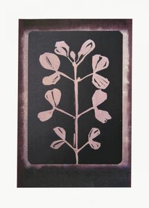 Dark Botanical Silhouette