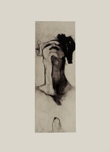 Elongated Profile Study