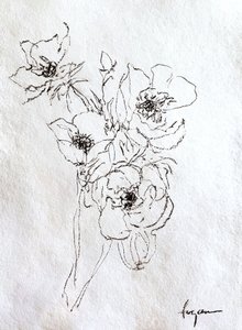 Delicate Floral Drawing by Dorothy Fagan