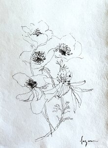 Delicate Floral Sketch by Dorothy Fagan