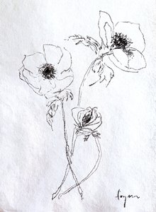 Delicate Flower Sketch by Dorothy Fagan