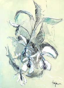 Delicate Orchid Sketch by Dorothy Fagan