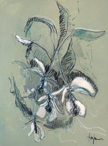 Elegant Orchid Sketch by Dorothy Fagan