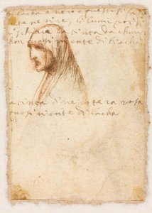 Bust-Length Profile of an Old Woman (verso), c. 1521 by Dosso Dossi
