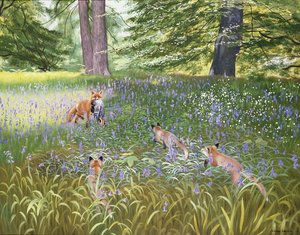 Foxes in Bluebells by Douglas Anderson